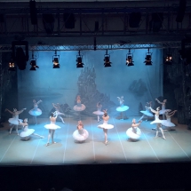 Schwanensee in der Stadthalle Wetzlar